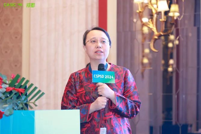 50+报告干货满满！2024功率半导体器件与集成电路会议（CSPSD2024）在蓉胜利召开(图7)