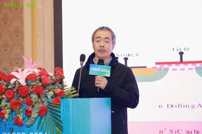 50+报告干货满满！2024功率半导体器件与集成电路会议（CSPSD2024）在蓉胜利召开(图43)