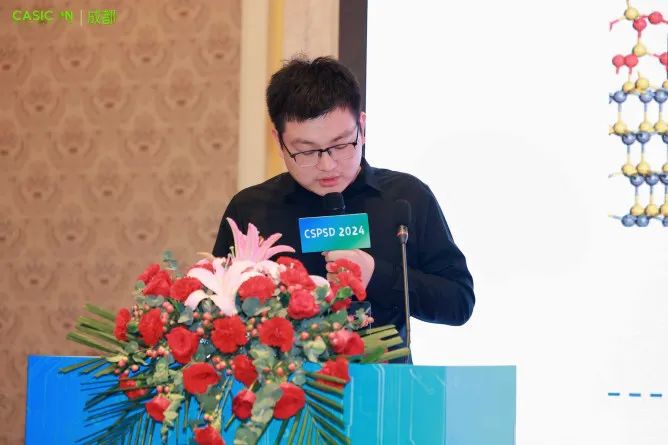 50+报告干货满满！2024功率半导体器件与集成电路会议（CSPSD2024）在蓉胜利召开(图54)