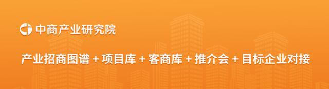 2024年中国光伏逆变器行业市场前景预测研究报告(图16)
