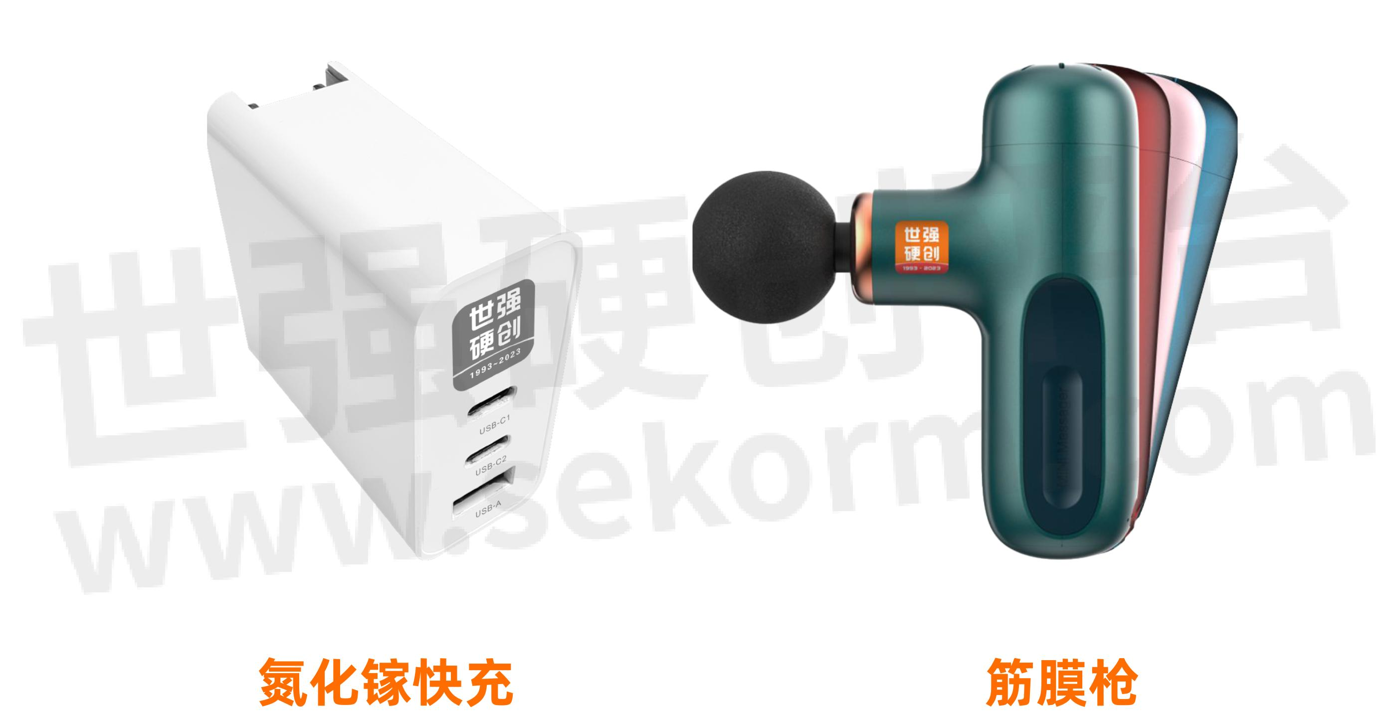 2024功率器件新技术研讨会(图2)