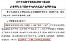 半导体芯片(图1)
