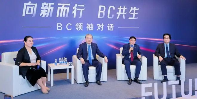 工厂满产、集采中标、股票涨停……BC的“春天”真来啦？(图2)