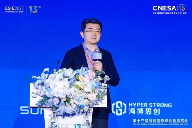 闪耀ESIE2025科华数能蝉联储能PCS市场第一(图2)
