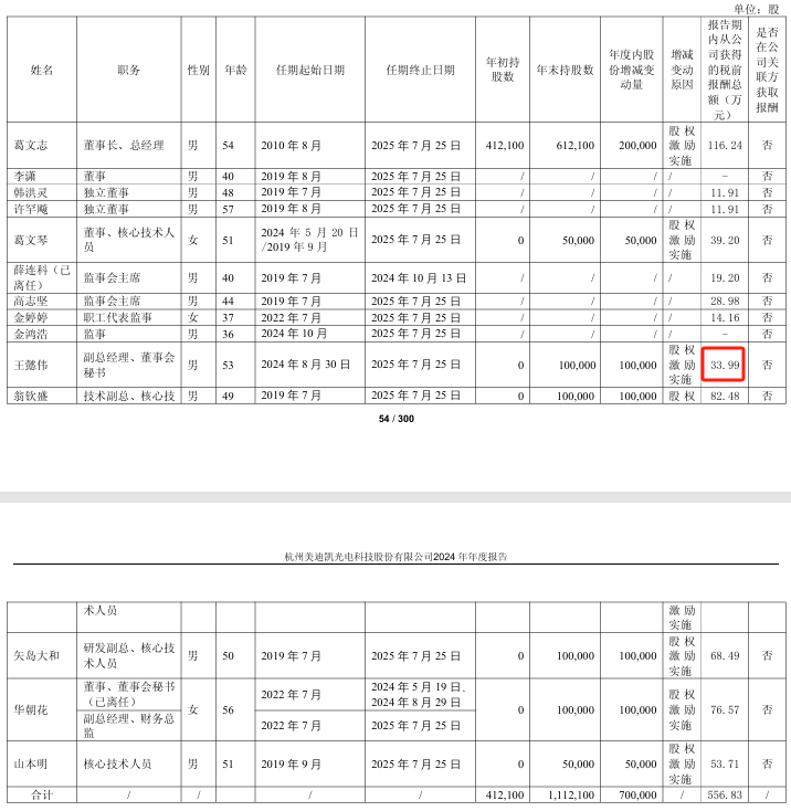 美迪凯2024年亏损扩大至102亿：董秘王懿伟薪酬34万24年8月上任(图1)