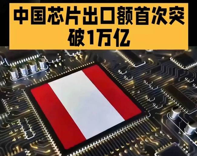 中国芯片出口卖到哪些国家去了东南亚和南亚成主要市场(图2)