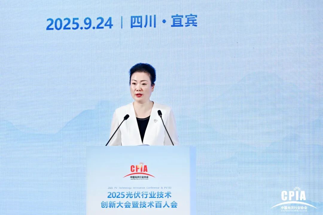 2025光伏行业技术创新大会暨技术百人会在四川宜宾顺利召开(图3)