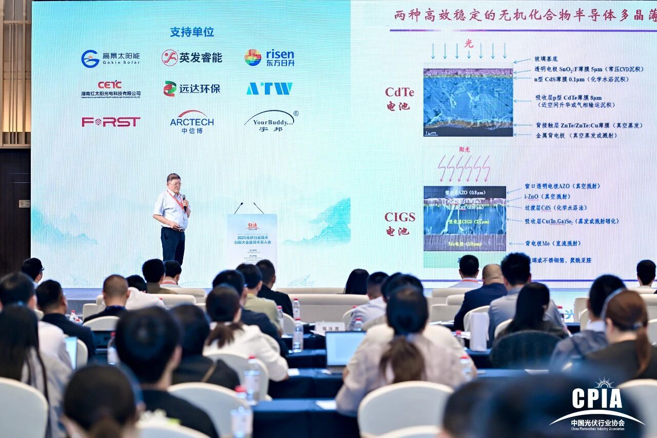 2025光伏行业技术创新大会暨技术百人会在四川宜宾顺利召开(图5)