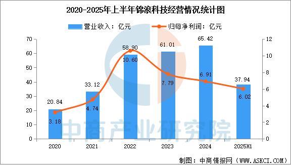 2025年中国光伏逆变器行业市场前景预测研究报告(图11)
