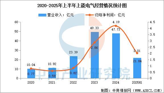2025年中国光伏逆变器行业市场前景预测研究报告(图13)