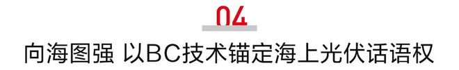 400MWBC组件！这家公司海上光伏订单爆了！(图5)