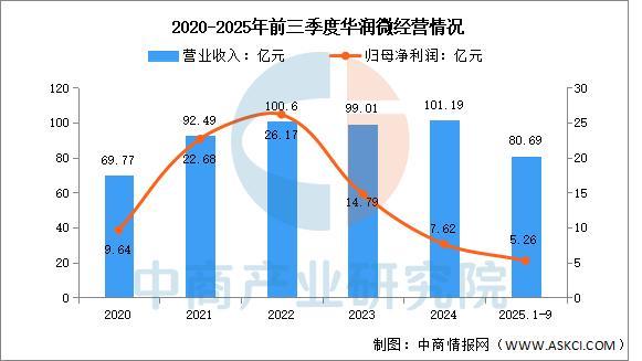 2025年中国功率半导体行业市场前景预测研究报告(图12)