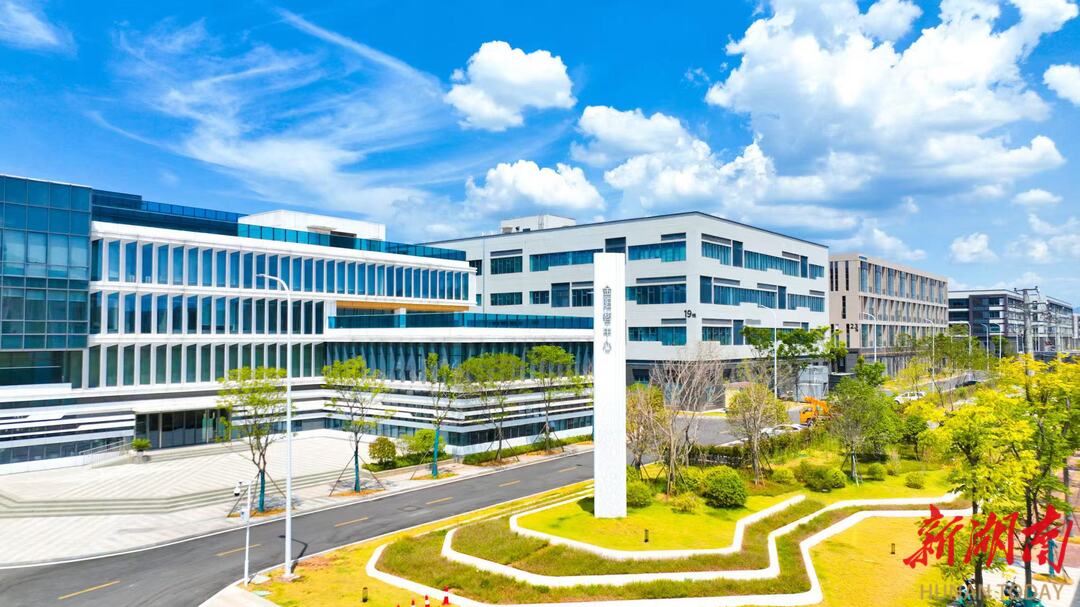 浏阳：向新而行竞逐未来@湖南日报(图8)