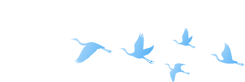 全球首款！在翔安实现重磅突破(图2)