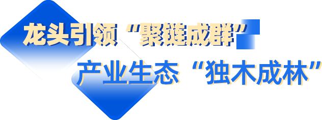 厦门唯一！全省借鉴……(图3)