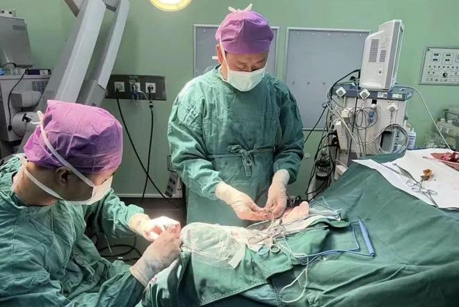 聚焦两会｜华润加速布局(图15)