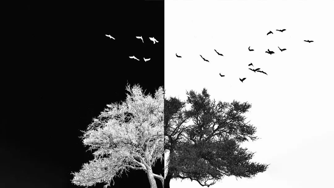 功率器件发展史附全球十大功率器件厂商名录(图1)