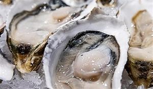 功率器件行业市场发展现状：我国已成为全球最大的功率器件市场(图7)